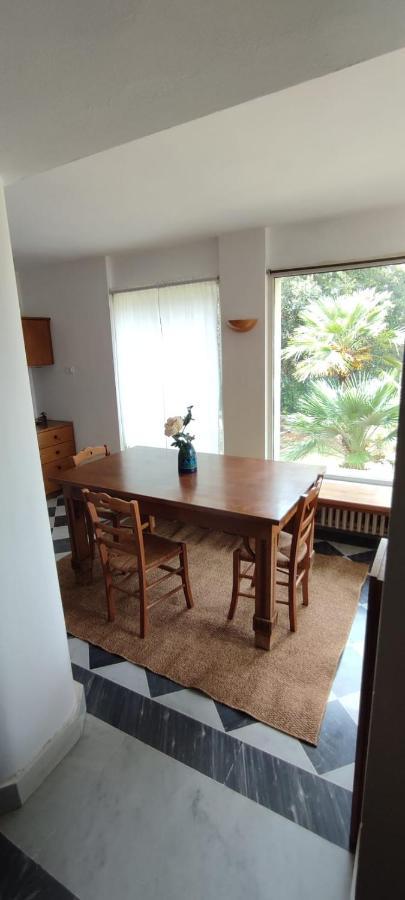 Room In Villa -Livorno - Montenero Eksteriør billede